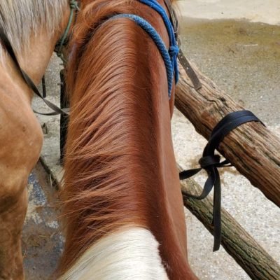 20190612_153444-511x1080