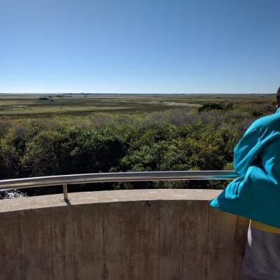 IMG_20161023_094723-1444x1080