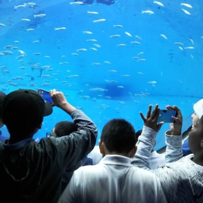 IMG_20190207_103854-1440x1080