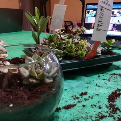 IMG_20210219_185006-1-1440x1080