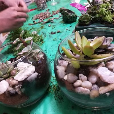 IMG_20210219_190318-1440x1080