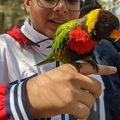 Student-Field-Trip-1-810x1080